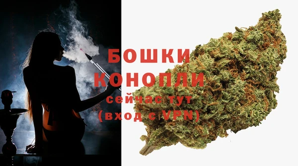 MESCALINE Белокуриха
