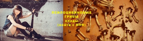 MESCALINE Белокуриха