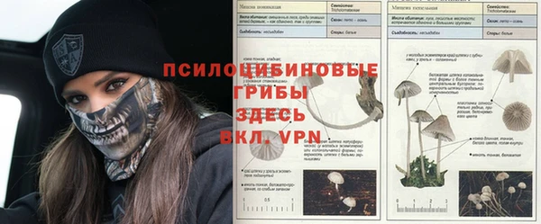2c-b Беломорск