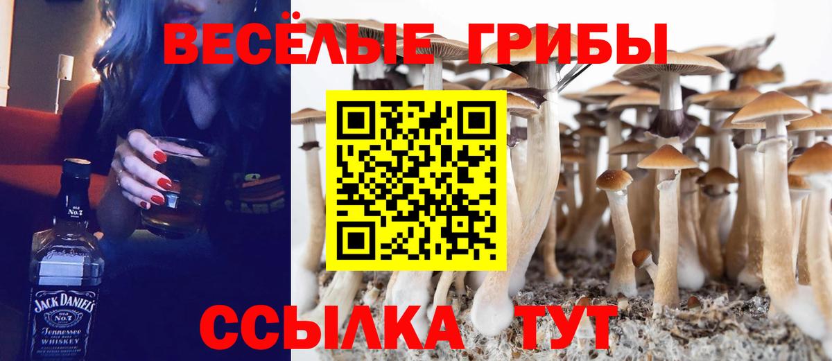 Псилоцибиновые грибы Psilocybine cubensis  Вход с VPN  Бузулук  Галлюциногенные грибы Magic Shrooms 