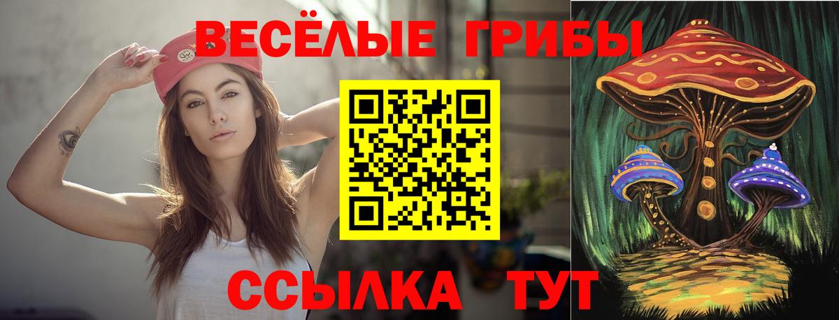 Галлюциногенные грибы MAGIC MUSHROOMS Бузулук