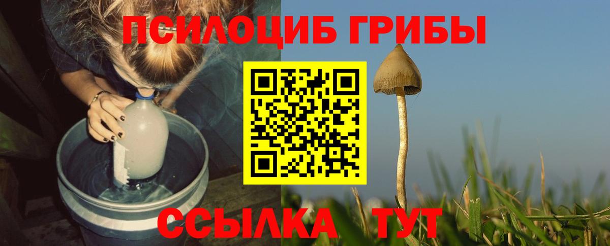 Каннабис Бузулук